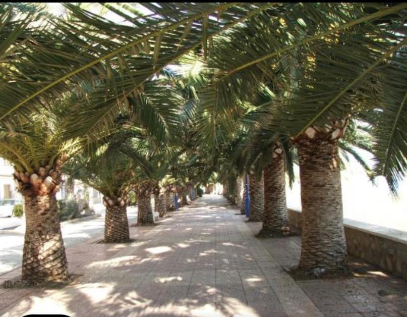 Vcc Home'S El Puerto de Mazarrón Eksteriør bilde